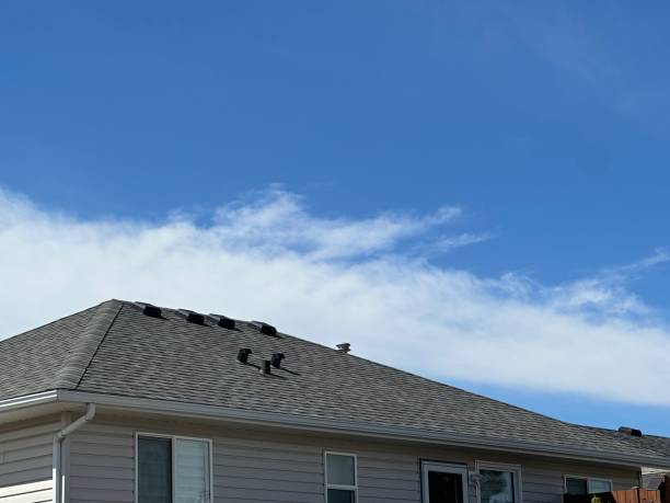 Best Skylight Installation and Repair  in Flemington, NJ